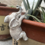 Hängender Elefant Blumentopf aus Kunstharz – Dekorative Pflanzenschale für Innen und Außen, Mehrfarbig-3